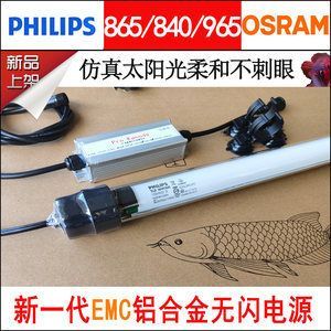 紅龍魚怎樣養快紅（紅龍魚怎么養會更紅10.紅龍魚怎么養發紅心得）