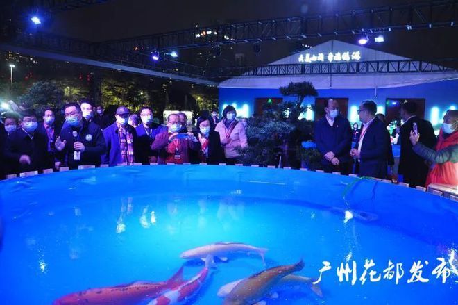 廣州金龍魚養殖場在哪里：廣州金龍魚養殖場位置