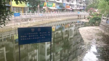 古龍魚場：\"古龍魚場\"基本信息