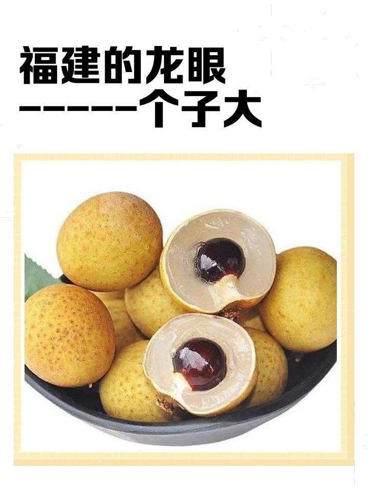 哪些龍眼品種對鬼帚病有抗性？ 哪些龍眼品種對鬼帚病有抗性？ 龍魚百科 第3張
