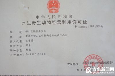 龍魚經營許可證（關于龍魚經營許可證的信息僅供參考并獲取詳細信息）