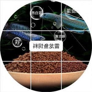 雷龍魚飼料推薦品牌有哪些：雷龍魚飼料用戶評價匯總仟湖飼料適合雷龍魚哪個階段