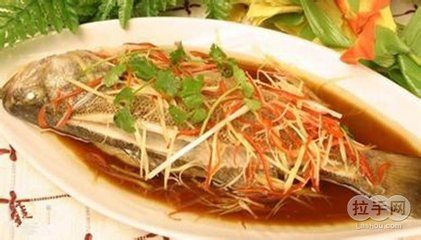 溫州水龍魚（溫州水龍魚是一種什么樣的魚？） 溫州水龍魚（溫州水龍魚是一種什么樣的魚？） 龍魚百科 第2張