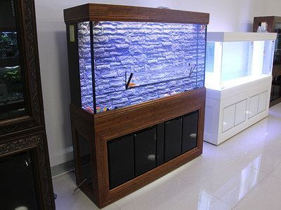 龍魚缸底部的垃圾怎么清理干凈：龍魚缸底部的垃圾怎么清理干凈龍魚缸底部垃圾的有效方法