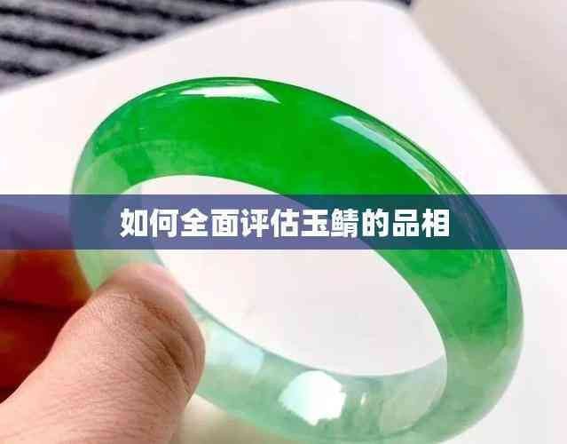 鎏金和玉鯖哪個(gè)更值得入手