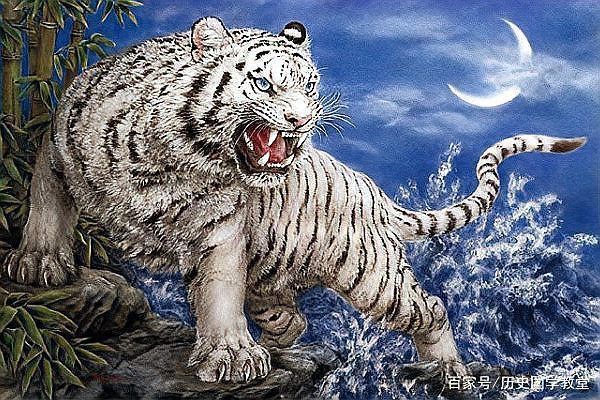 錦鯉是青龍化身