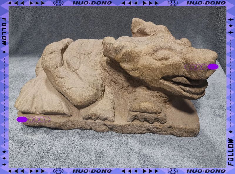 錦鯉是青龍化身