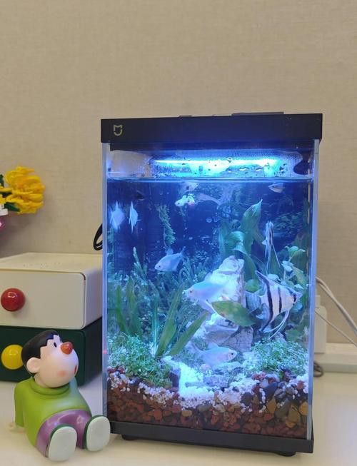 哪些品牌魚缸適合黑底透光
