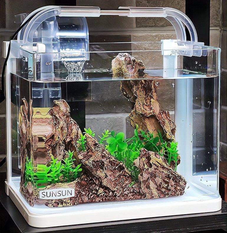 哪些品牌魚缸適合黑底透光