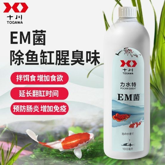 十川極致卓越