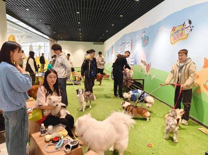 有沒有小龍魚社交行為的gif圖？ 有沒有小龍魚社交行為的gif圖？ 龍魚百科 第8張