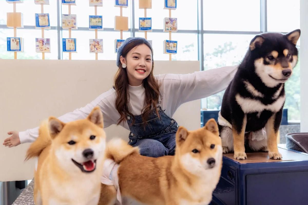 有沒有小龍魚社交行為的gif圖？ 有沒有小龍魚社交行為的gif圖？ 龍魚百科 第13張