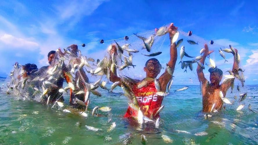 有沒有小龍魚社交行為的gif圖？ 有沒有小龍魚社交行為的gif圖？ 龍魚百科 第33張