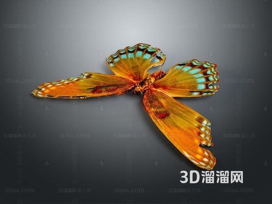 彩蝶和冠鱗哪個檔次高