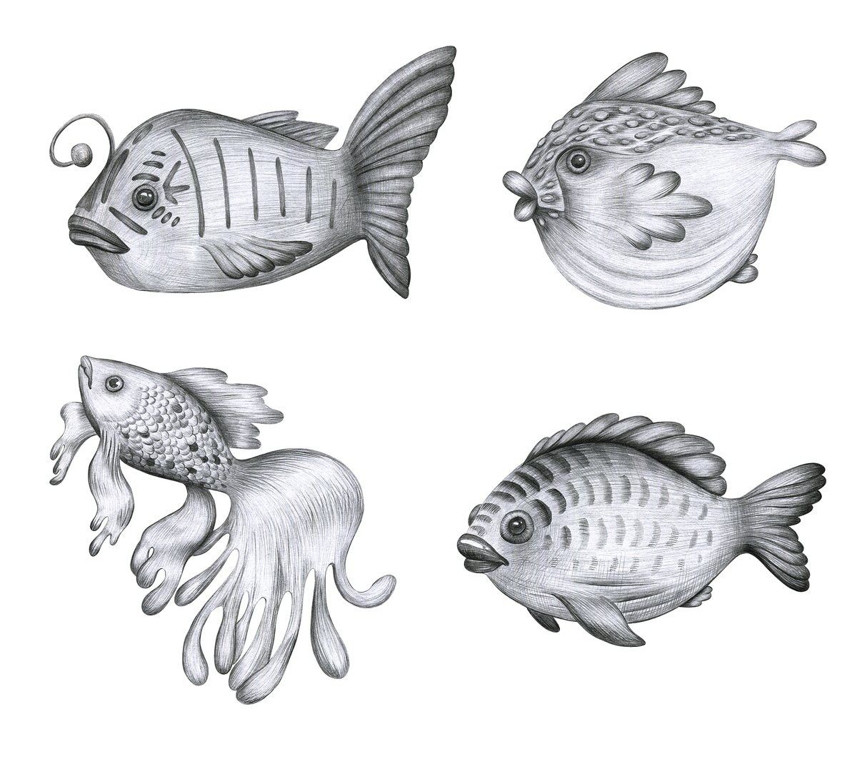有哪些工具適合繪制金龍魚線描？ 有哪些工具適合繪制金龍魚線描？ 龍魚百科 第4張