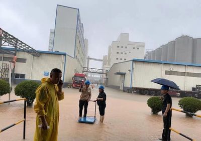 鄭州金龍魚掛面廠招聘信息（鄭州金龍魚掛面廠招聘信息有哪些？） 鄭州金龍魚掛面廠招聘信息（鄭州金龍魚掛面廠招聘信息有哪些？） 龍魚百科 第5張
