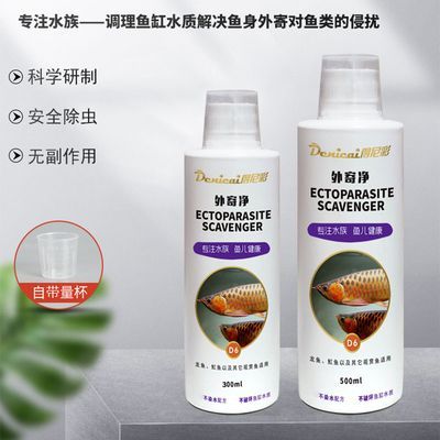 24k金金龍魚：如何辨別金龍魚24K的真偽？