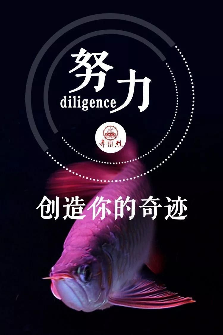 龍魚身上有粘液