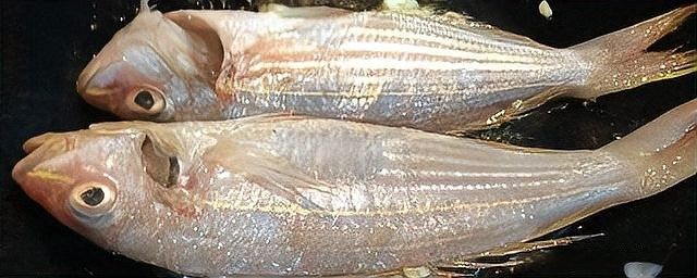 龍魚身上有粘液