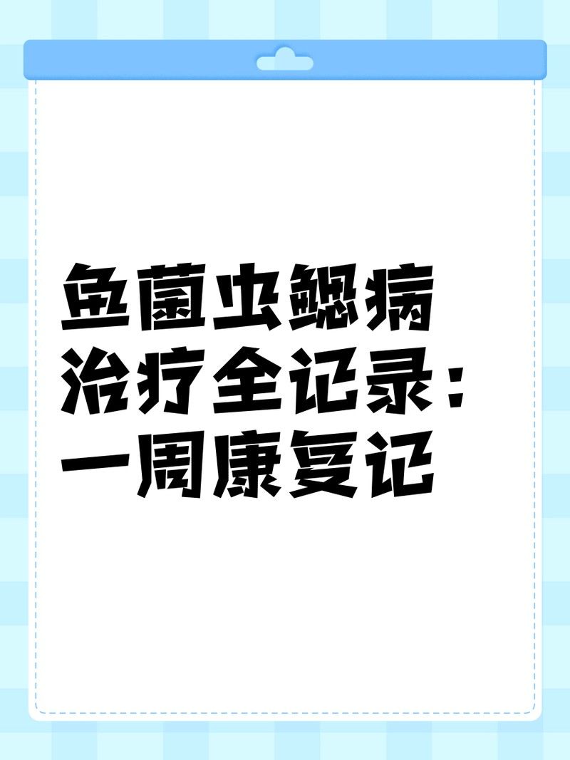 龍魚真菌感染的最佳治療周期是多久？