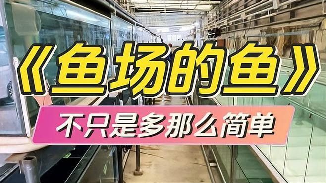 高背金龍魚有哪些稀有品種？ 高背金龍魚有哪些稀有品種？ 龍魚百科 第1張