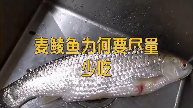 鯪魚盡量少吃的原因