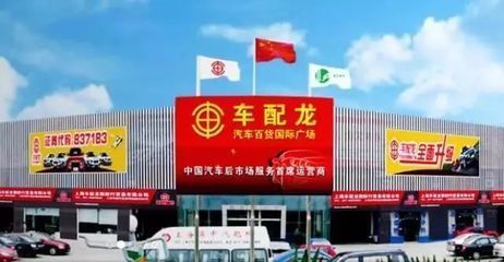 廣州龍魚魚批發(fā)市場（廣州龍魚魚批發(fā)市場價格） 廣州龍魚魚批發(fā)市場（廣州龍魚魚批發(fā)市場價格） 龍魚百科 第2張