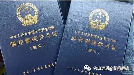龍魚帶芯片證書的意義（龍魚帶芯片證書是一套用于證明龍魚身份和血統的官方文件）