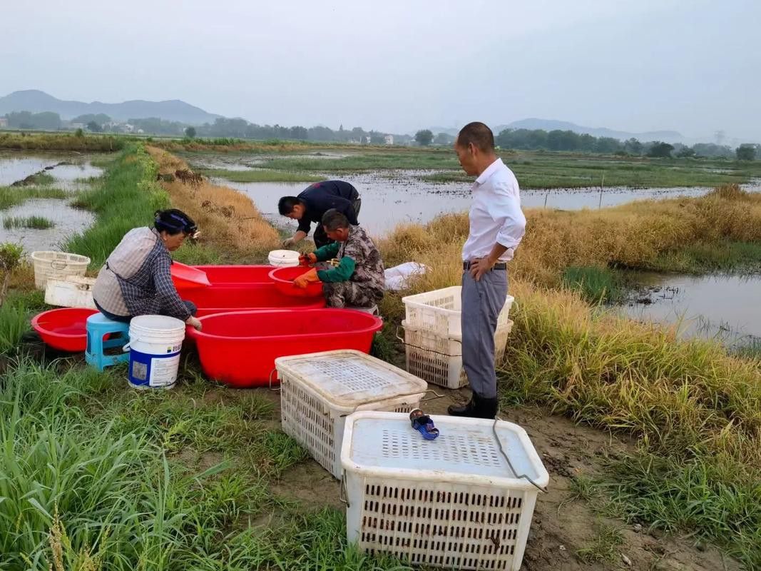 廣元龍魚專賣店