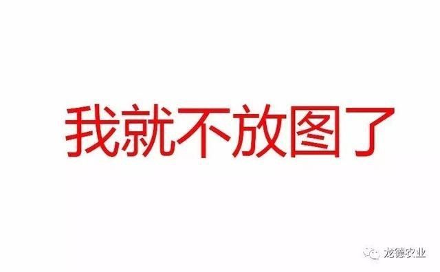 龍魚(yú)不吃魚(yú)蝦只吃面包蟲(chóng)怎么辦