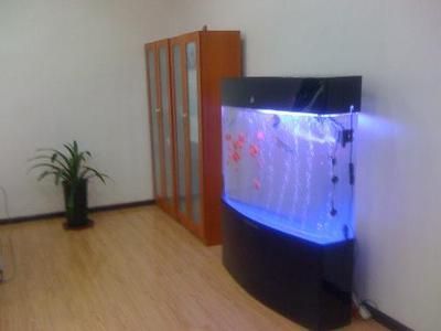 家庭養銀龍魚好嗎【家庭養殖銀龍魚的注意事項】