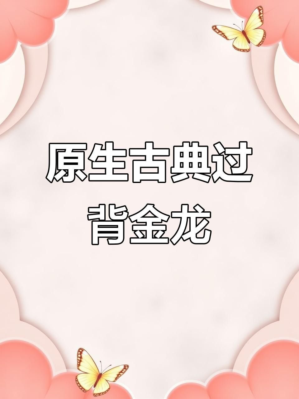 過背金龍和B過背哪個更值得養