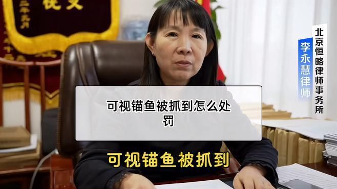 錨魚被派出所抓了怎么辦 龍魚百科 第1張 錨魚被派出所抓了怎么辦 錨魚被派出所抓了怎么辦 龍魚百科 第1張