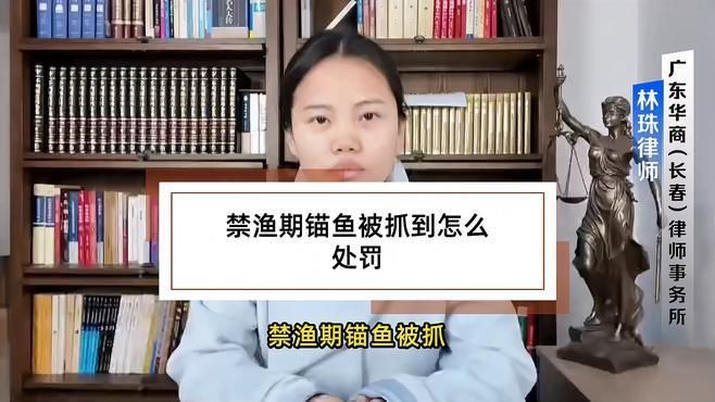 錨魚被派出所抓了怎么辦 龍魚百科 第2張 錨魚被派出所抓了怎么辦 錨魚被派出所抓了怎么辦 龍魚百科 第2張