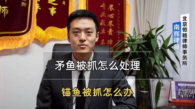 錨魚被派出所抓了怎么辦 龍魚百科 第6張 錨魚被派出所抓了怎么辦 錨魚被派出所抓了怎么辦 龍魚百科 第6張