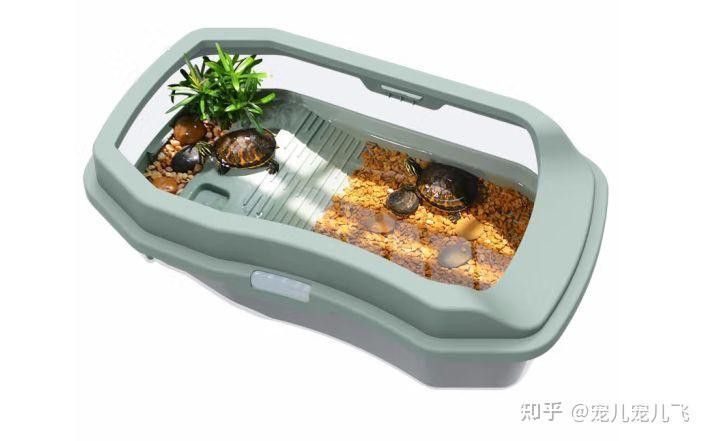 哪種材質的龍龜最適合魚缸？