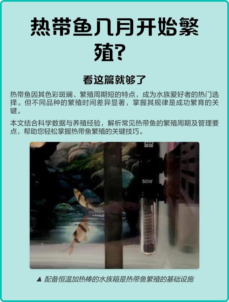 黃龍海水魚繁殖的最佳季節是什么時候？ 黃龍海水魚繁殖的最佳季節是什么時候？ 龍魚百科 第4張