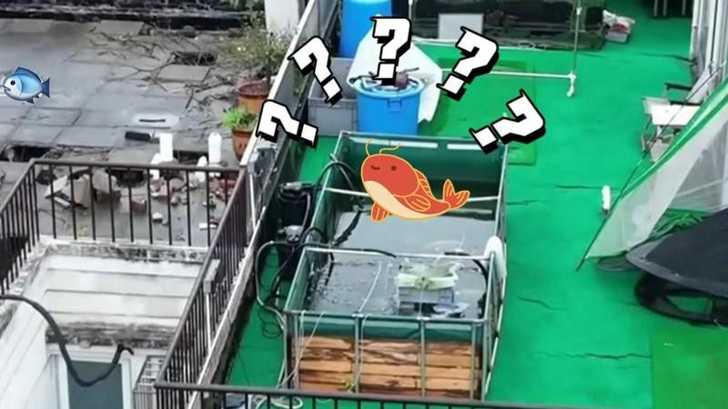 如何計算龍缸的承重需求？