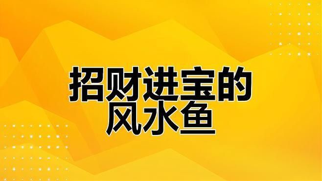 銀龍魚養(yǎng)幾條好？養(yǎng)龍有什么講究？