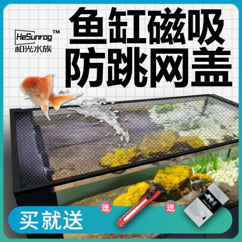 淘寶上龍魚能買嗎淘寶龍魚能買嗎，淘寶龍魚能買嗎：淘寶上能買到滿意的龍魚嗎？