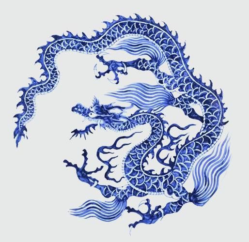有哪些龍身幾何解構案例？ 有哪些龍身幾何解構案例？ 龍魚百科 第24張