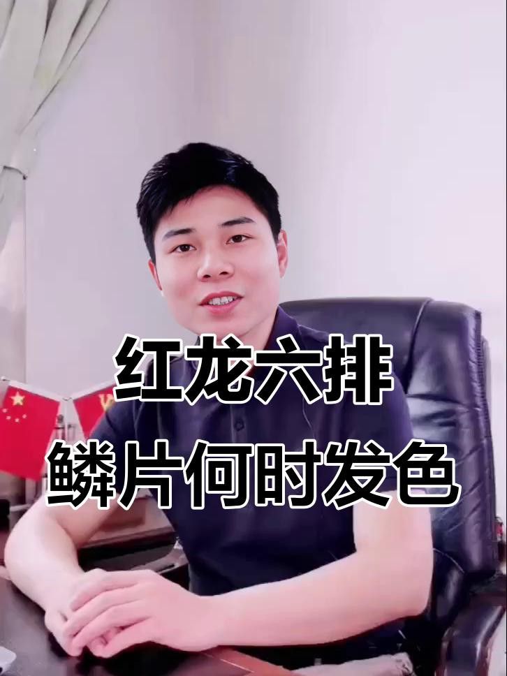 如何判斷超血紅龍魚是否發色 如何判斷超血紅龍魚是否發色 龍魚百科 第3張