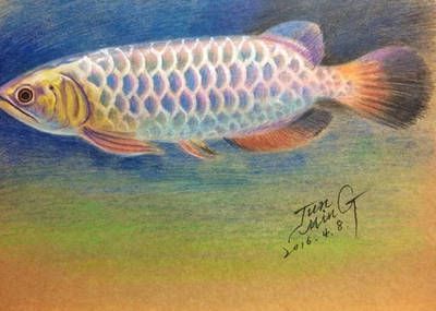 龍魚繪畫作品 龍魚繪畫作品 龍魚百科 第4張