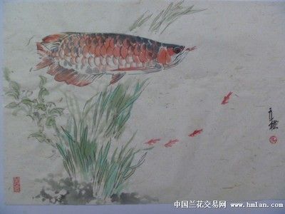 龍魚繪畫作品 龍魚繪畫作品 龍魚百科 第3張