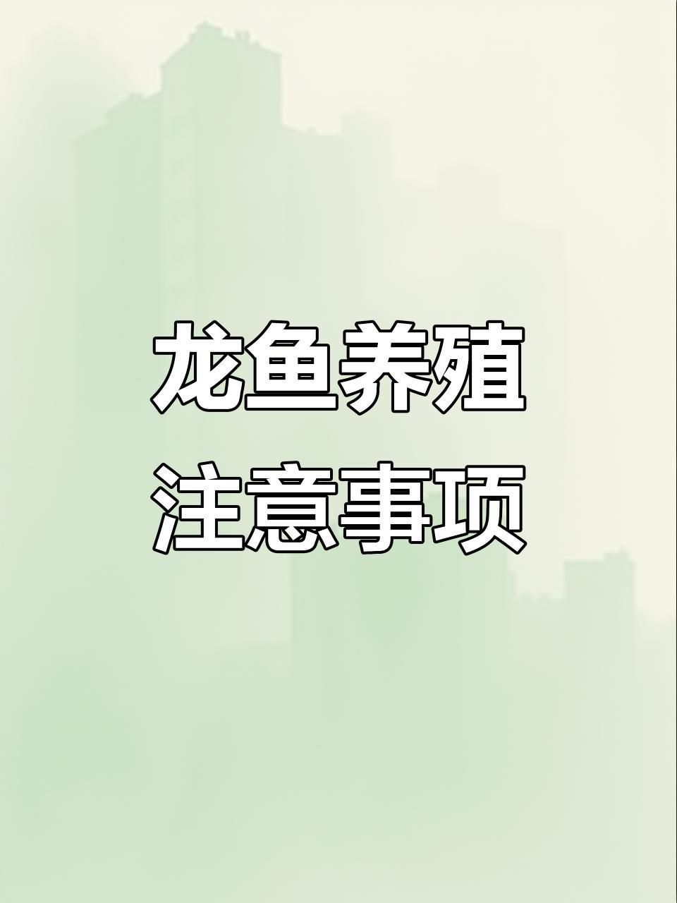 龍魚背高背最忌三種東西