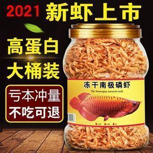 龍魚不吃蝦干：龍魚可以吃蝦干嗎？