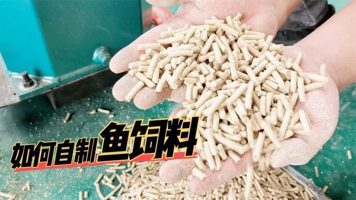 如何自制金三間魚植物飼料：自制金三間魚植物飼料營養搭配指南