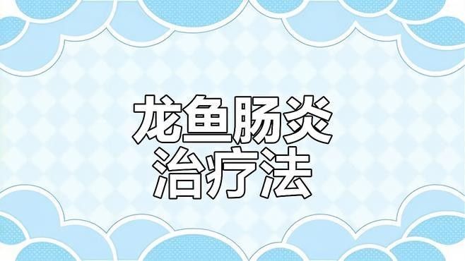 龍魚趴缸不吃食如何治療