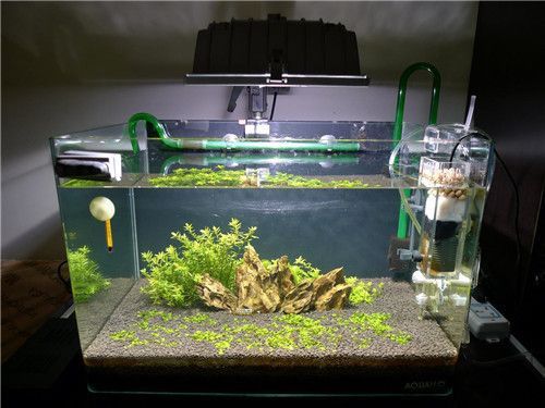 龍魚缸的濾材搭配方法：龍魚缸濾材搭配方法 龍魚缸的濾材搭配方法：龍魚缸濾材搭配方法 龍魚百科 第5張
