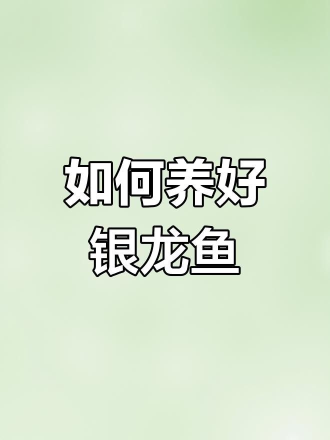 如何設(shè)置銀龍魚的魚缸環(huán)境？